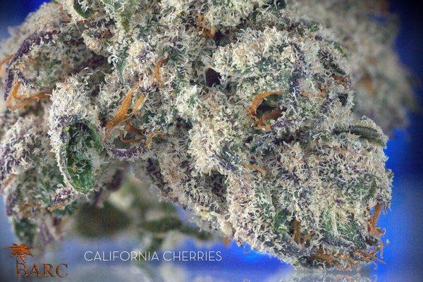 California Cherries