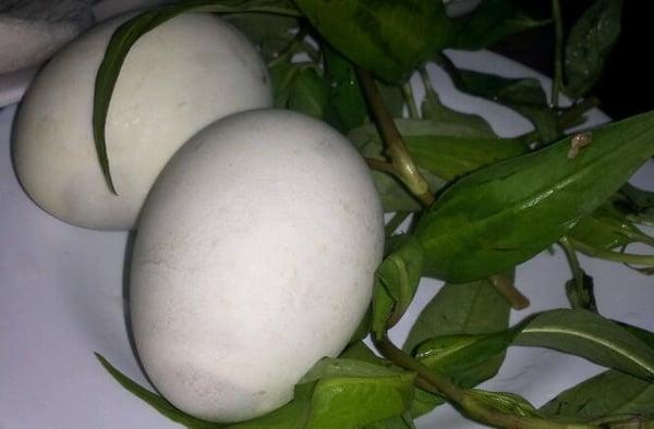 Hot Vit Lon (or balut) are more developed than usual and boiled super hot!