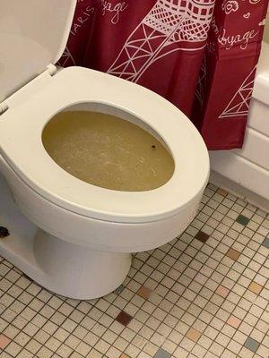 Toilet backed up