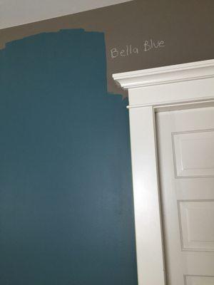 This is the color the the customer chose