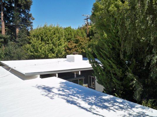 Flat residential roof in Palo Alto