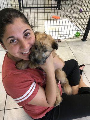 My wife was feeling ill (congested), so I took her to see some puppies and she got better, until we left the store!