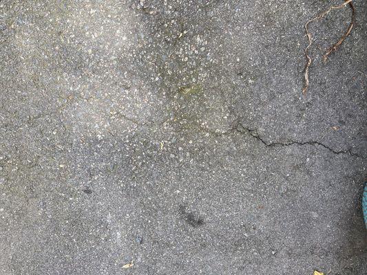 Crack in driveway.