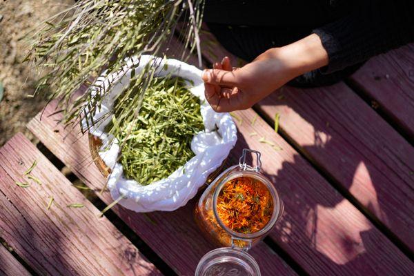 Locally foraged & homegrown herbs - Herbal Facial & Body Care Treatments