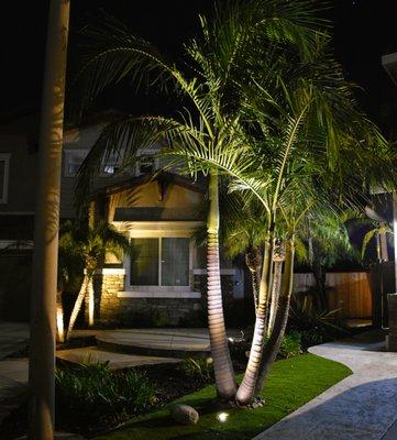 Professional Landscape Outdoor Lighting Installation & Design