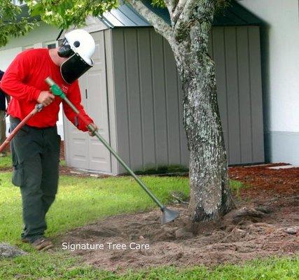 Signature Tree Care