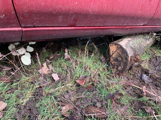 Car came to a stop on top of a log that was in the green space car spun into