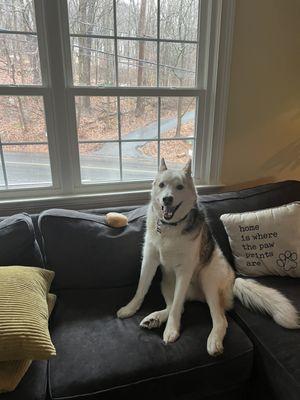 UConn the bagel police giving his thoughts ..