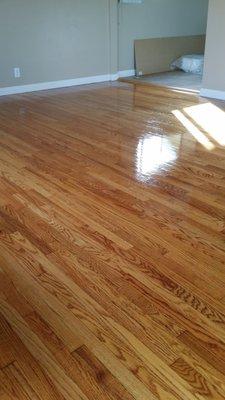 DEEP Hardwood Floor Cleaning