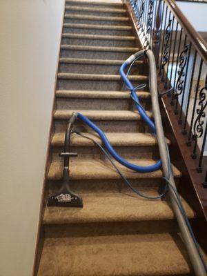 Extreme Carpet Care 