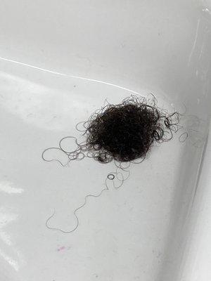 PUBES ON THE SINK?!?