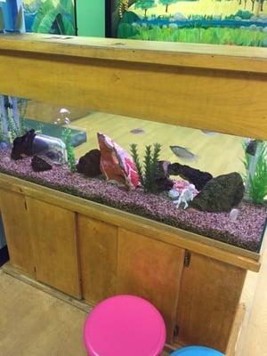 Fish tank in the lobby