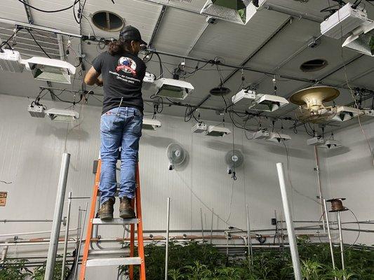 Installing cooling systems in a local nursery