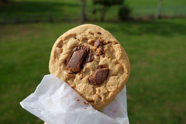 Peanut Butter Chocolate Chip Cookie