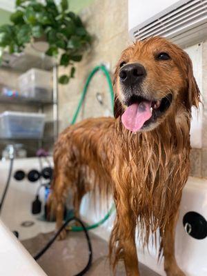 bath with high quality shampoo and conditioner