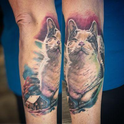 Blind kitty portrait by Mez Love