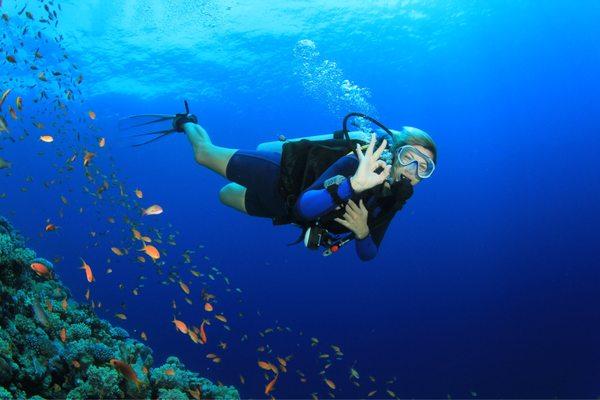 Anderson's Safe & Easy Scuba Certifications