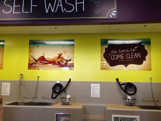 self serve dog wash, unleashed by petco