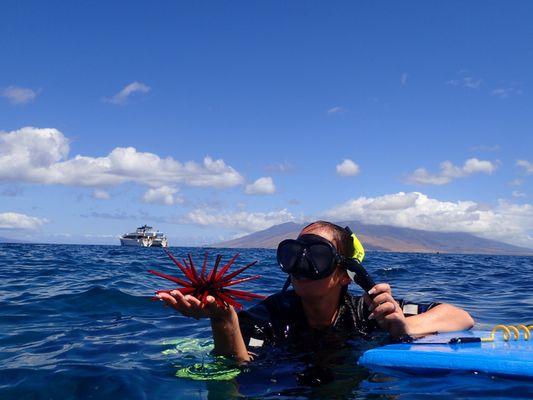 Maui Undersea Adventures