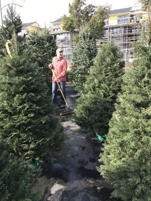 Volunteer dad hard at work keeping the lot clean and stocked with fresh cut trees from Oregon.