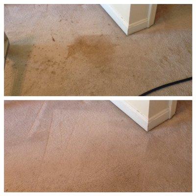 Before & After Stain Removal