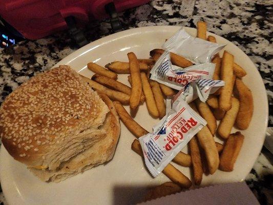 Kids plain cheese burger with fries.