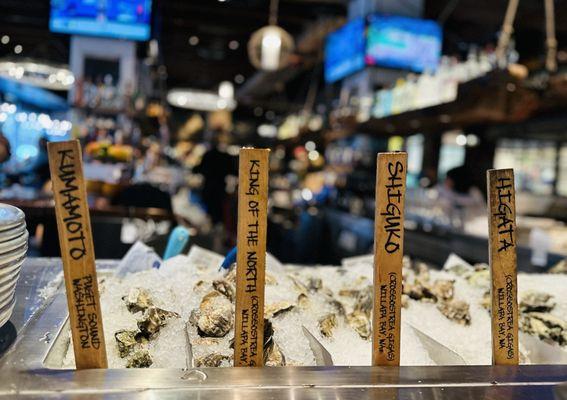 Selection at bar for oysters but there are crabs, sea urchin, lobster and other salty treasures.