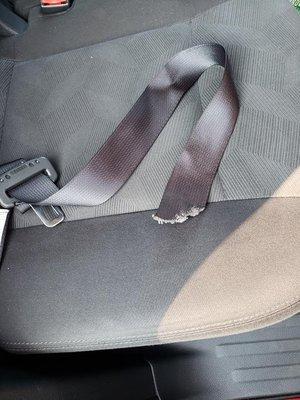 Cut seatbelt