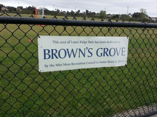 Brown's Grove