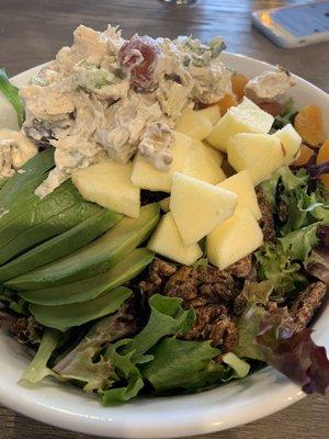 Mixed Greens, Apple, chicken, avocado, feta, candied Pecans.  So yummy and fresh!