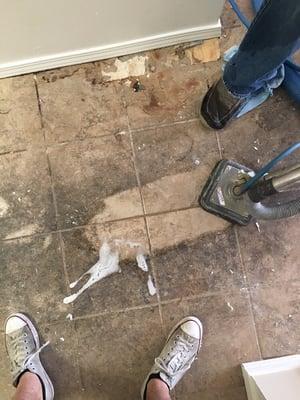 Some tile that needed a deep scrubbing!