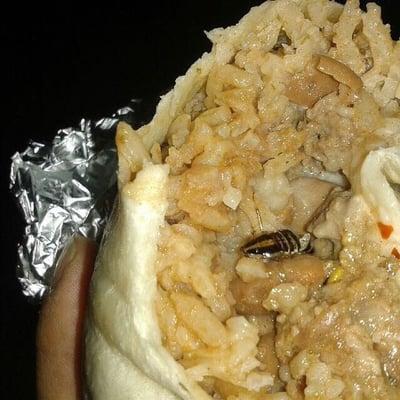 My friend had a roach in his burrito... NASTY AS HECK!!! Never again...