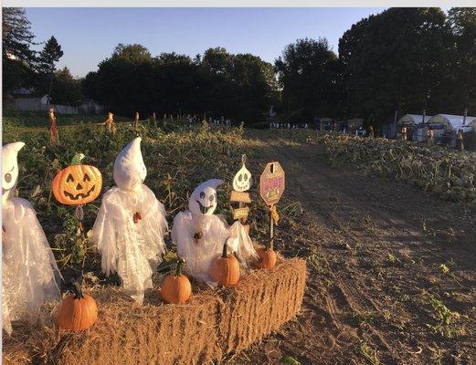 Pumpkin Patch
  Bergen Garden Center and Farms