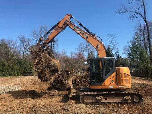 Tree Stump Removal