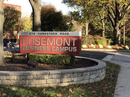 Entrance from Conestoga Rd - Bryn Mawr office