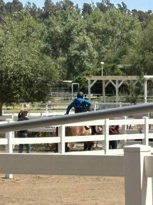 Reins Therapeutic Horsemanship Program