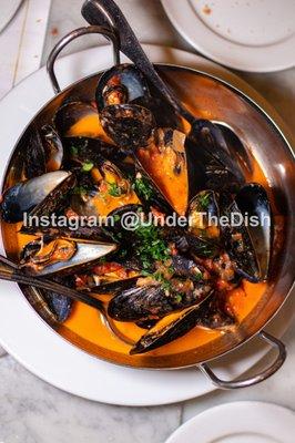 Provencale Mussels