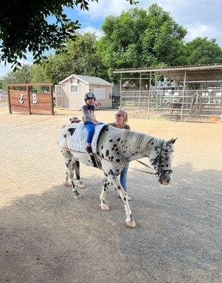 Hippotherapy fun!