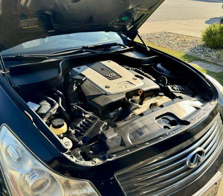 Under the hood of a well maintained G35, serviced by Folsom Autotech