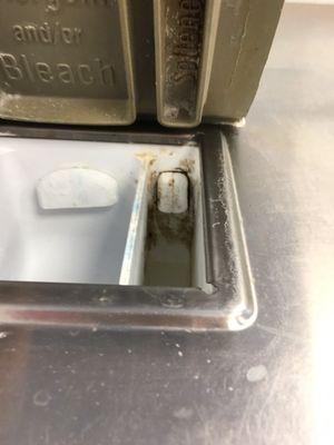 Mold and dirt inside the soap dispenser on the washer