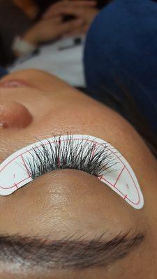 Long medium fullness lashes