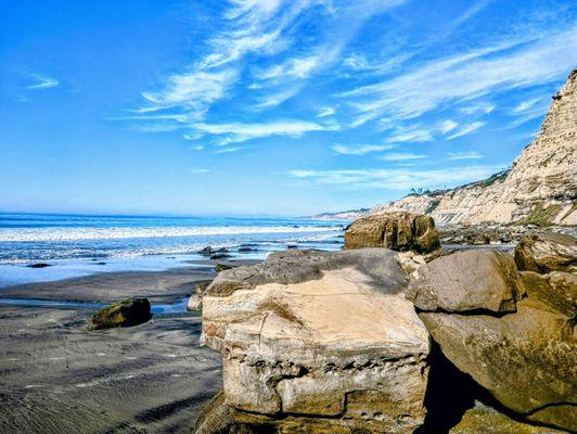 Scripps Coastal Reserve