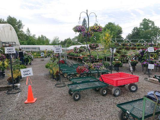 Nice flow - Parking attendees direct you to open parking, carts available at the entrance