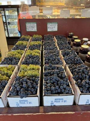 Naples and grapes. Perfection.