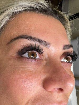 Volume Lashes