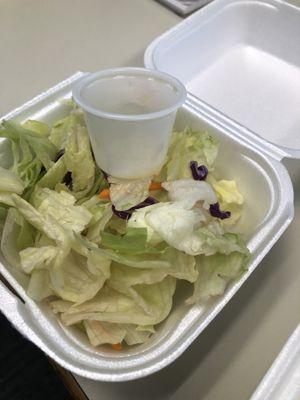 Salad with dressing cup