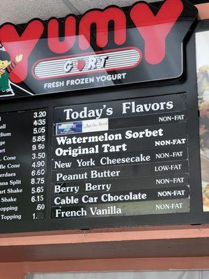 Frozen yogurt menu