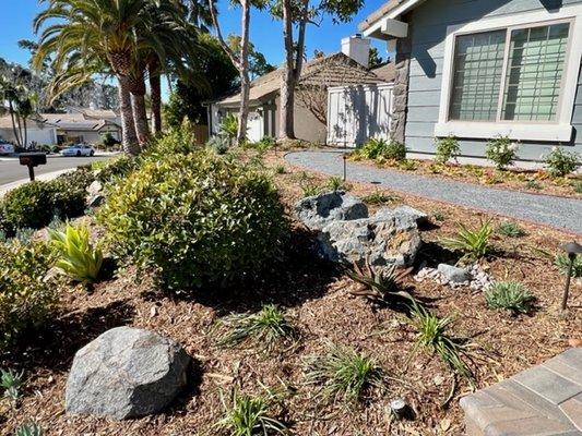 Left side front landscaping, walkway and slope