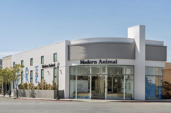 Modern Animal Berkeley Exterior