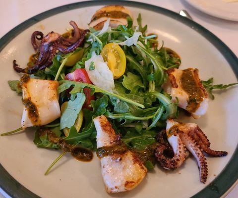 Grilled squid over arugula & fennel salad, w/ chermoula drizzle.